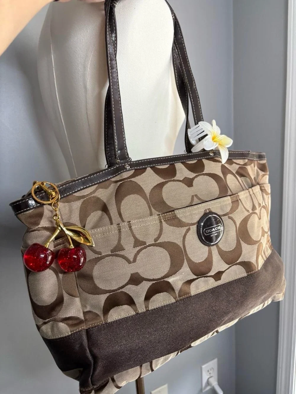 Coach Y2K Signature Canvas Tote Bag in Brown